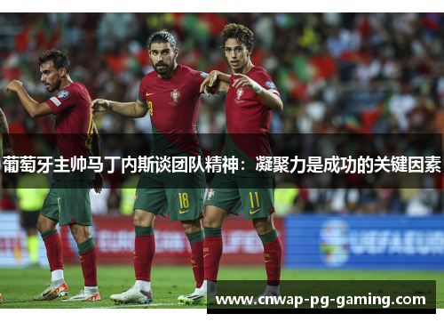 葡萄牙主帅马丁内斯谈团队精神:凝聚力是成功的关键因素 葡萄牙主帅马丁内斯谈团队精神:凝聚力是成功的关键因素