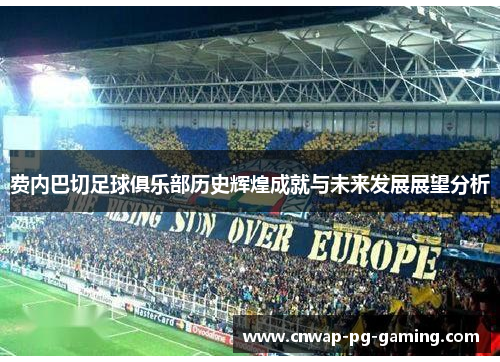 费内巴切足球俱乐部历史辉煌成就与未来发展展望分析 费内巴切足球俱乐部历史辉煌成就与未来发展展望分析