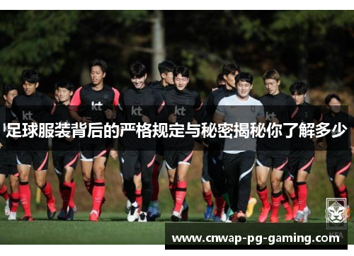 足球服装背后的严格规定与秘密揭秘你了解多少 足球服装背后的严格规定与秘密揭秘你了解多少